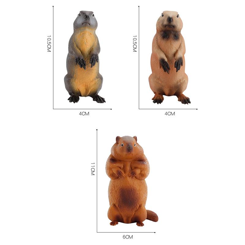 Children'S Science And Education Cognition Grassland Wild Squirrel Animal Model Simulation Solid Groundhog Collection Ornament Toy