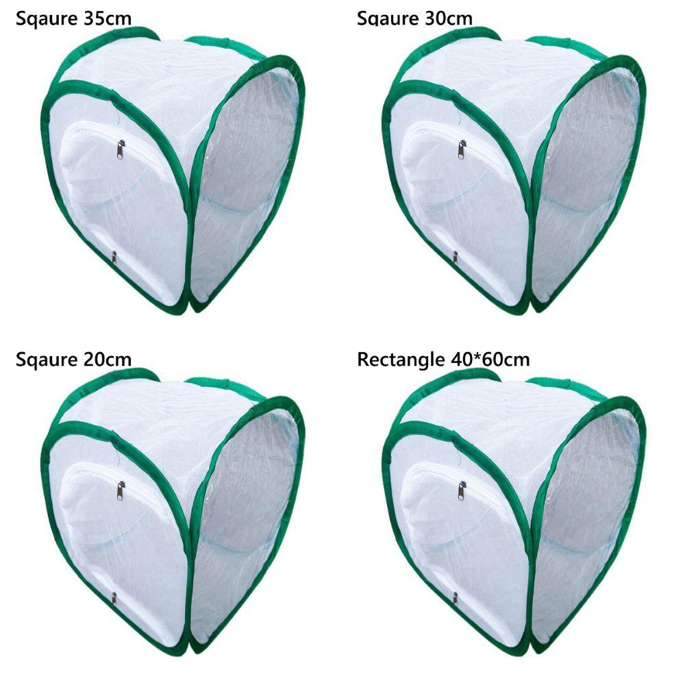 Zipper Opening Collapsible Insect Cage Green Breeding Observing Cages  Indoor Outdoor