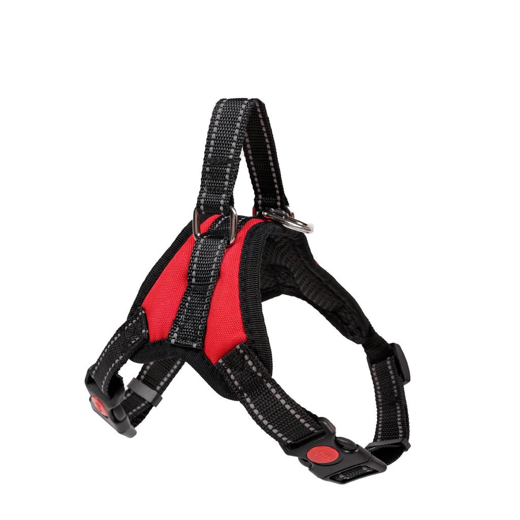 Popular Saddle-Style Chest Harness for Medium To Large Breeds: Teddy, Corgi, Golden Retriever, Samoyed.