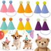 6/12pcs Lightweight Cone Hats Colorful Assorted Party Hats Cute Pet Party Hats  Stuffed Animals