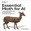 Oreilly Essential Math for AI Paperback