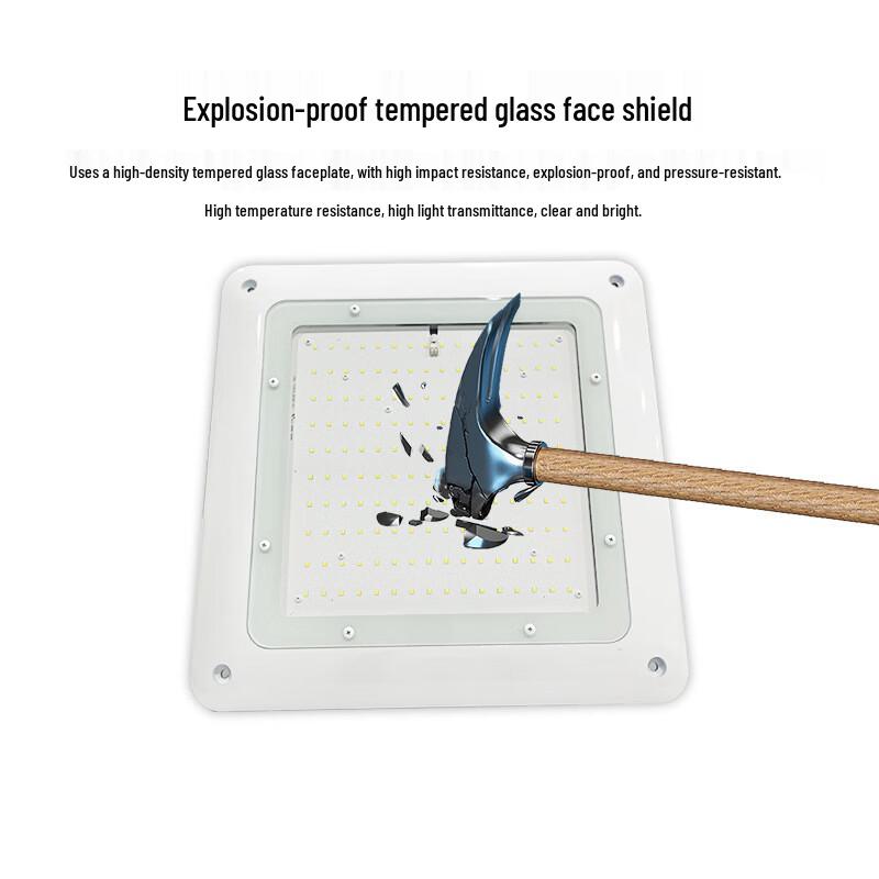 MR MOOSE Industrial LED Canopy Light