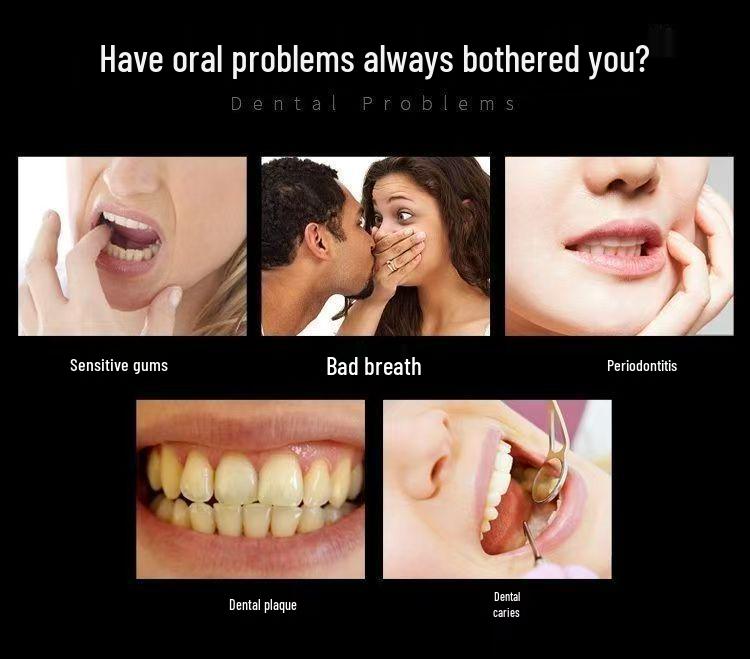 Deluxe Soft Bristle Toothbrush with Large Brush Head - High-Density Family Set