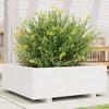 VidaXL Planter White 70x70x26.5 Cm Solid Pine Wood, Outdoor Planter, Flower Box, Plant Box, Planter 847304