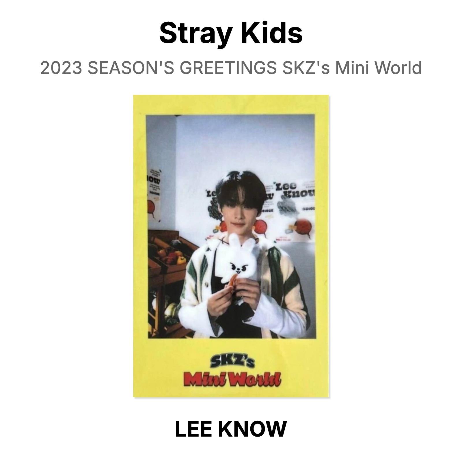 Stray Kids 2023 SEASON`S GREETINGS SKZ`s