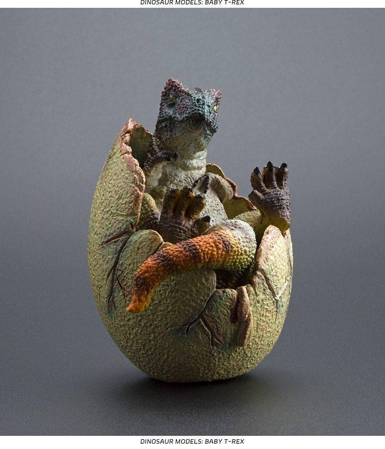 

High Quality Baby Pterosaur Hatching Dinosaur Model Detachable Egg Shell Jurassic Collectible Ornament Gift For Dinosaur Lovers