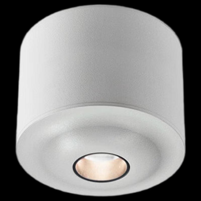 Nu-Style Surface Mounted Spotlight for Tea Rooms