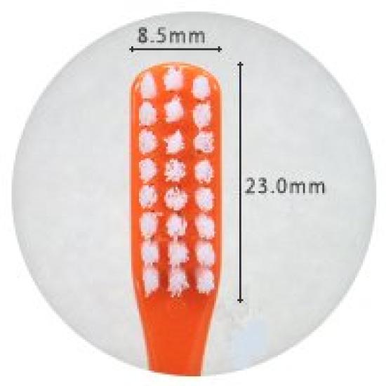 Oral Care Tuft 24 Toothbrush (Capless) X 25 Brushes (S Size, Assorted)