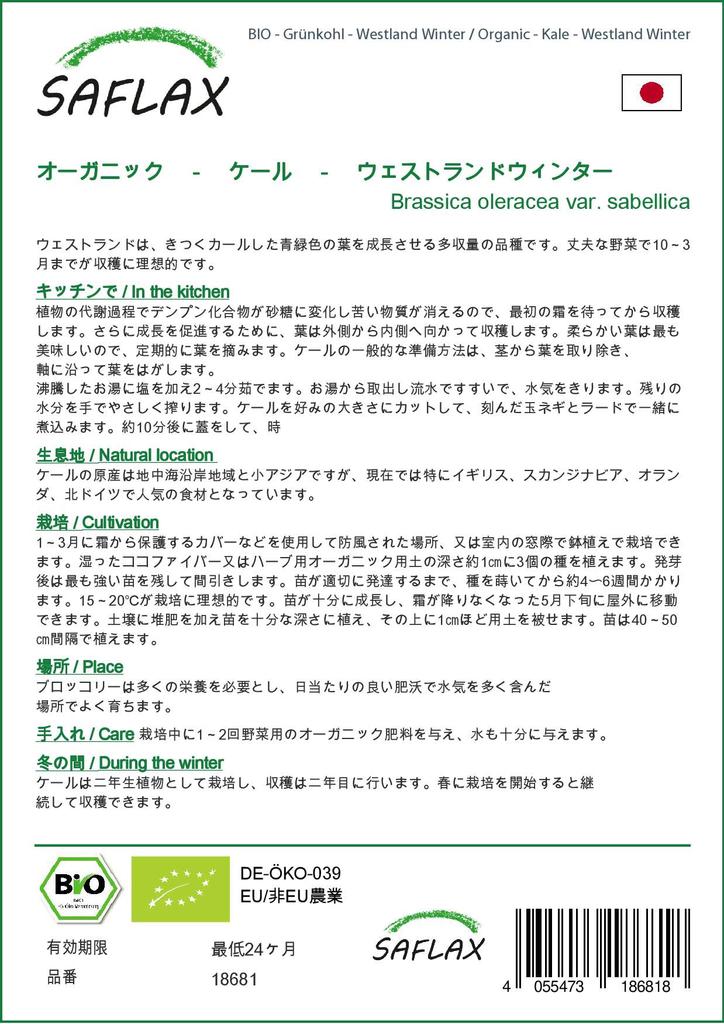 SAFLAX Bio - Kapusta - Westland Winter - 70 semen - Brassica oleracea