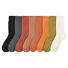 5 Pairs of Female Autumn and Winter Warm and Cold Proof Thick Wool Ring Boneless Velvet Tube Socks