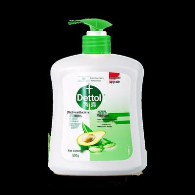 Botanical Antibacterial Hand Wash 500g