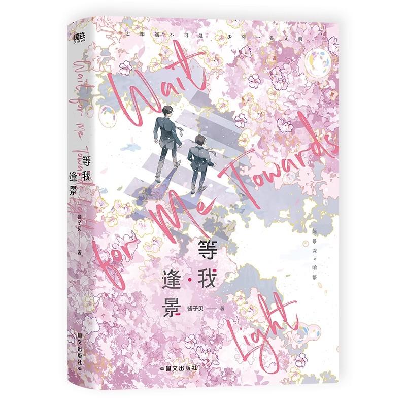 New Wait For Me Towards Light Original Novel Vol.2 Chen Jingshen, Yu Fan Youth Campus Romance Danmei Fiction Book