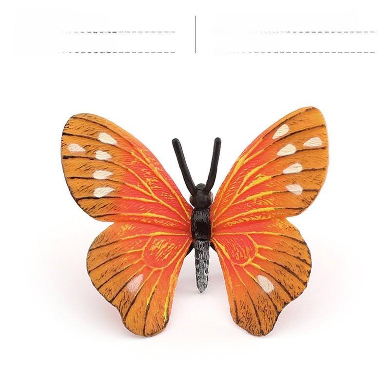 

Pvc Insect Display Model For Collection Display And Educational Purposes