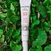 Dazzling Hongcha Mild Sunscreen 35ml (SPF50+ PA++++)