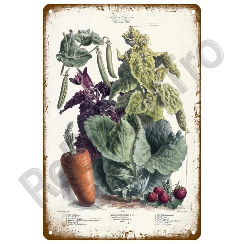 Metal Sign Wall Decor For Cafe Home Garden Farm Beach Hut Outdoor Vintage Tin Sign Flowers Birds Car Metal Plaque Welcome Poster