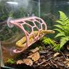 Honeycomb Structure Reptile Climbing Shelf Plastic Honeycomb Climbing Rack Terrarium Enrichment