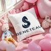 Cartoon B-BeneteauS Y-Yachts Pillow Case Soft Plush Fabric Double-Sided Printed Cushion Cover Warm Winter Sofa Pillow Case