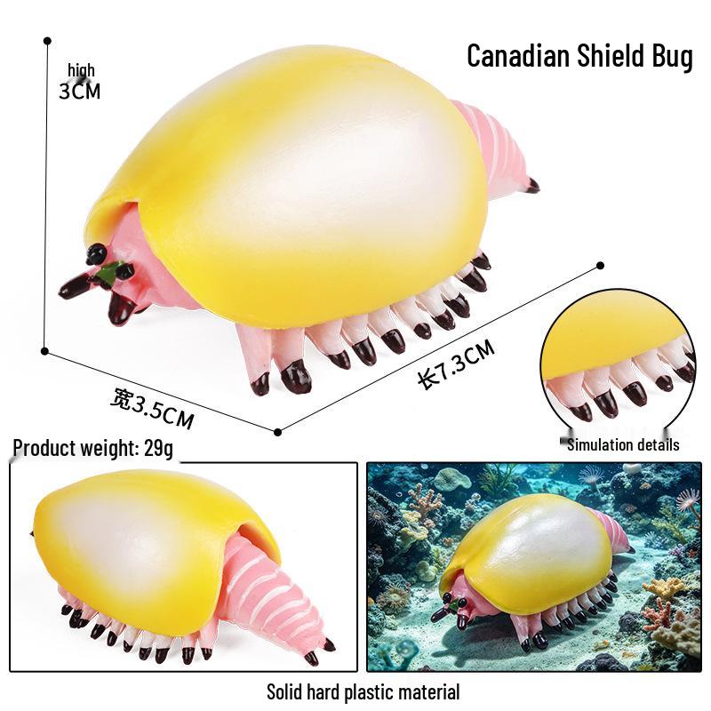 Simulationsmodelle von Meerestieren: Qualle, Oktopus, Meeresgarnele, Seeanemone, Tintenfisch, Pfeilschwanzkrebs, Flusskrebs, Pfeilkraut