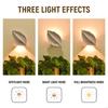 Remote Control LED Night Light Unique Wall Light With Adjustable Brightness for Modern Home Decoration M4YD