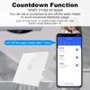 40A Tuya Smart Home WiFi Water Heater Air Conditioner Touch Button Wall Switch App Remote Control Voice Timing Via Alexa Google