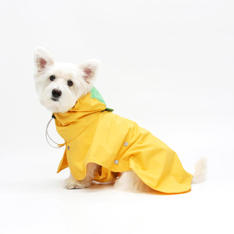 ДОЖДЕВИК KINI-ЖЕЛТЫЙ (плащ) M-L