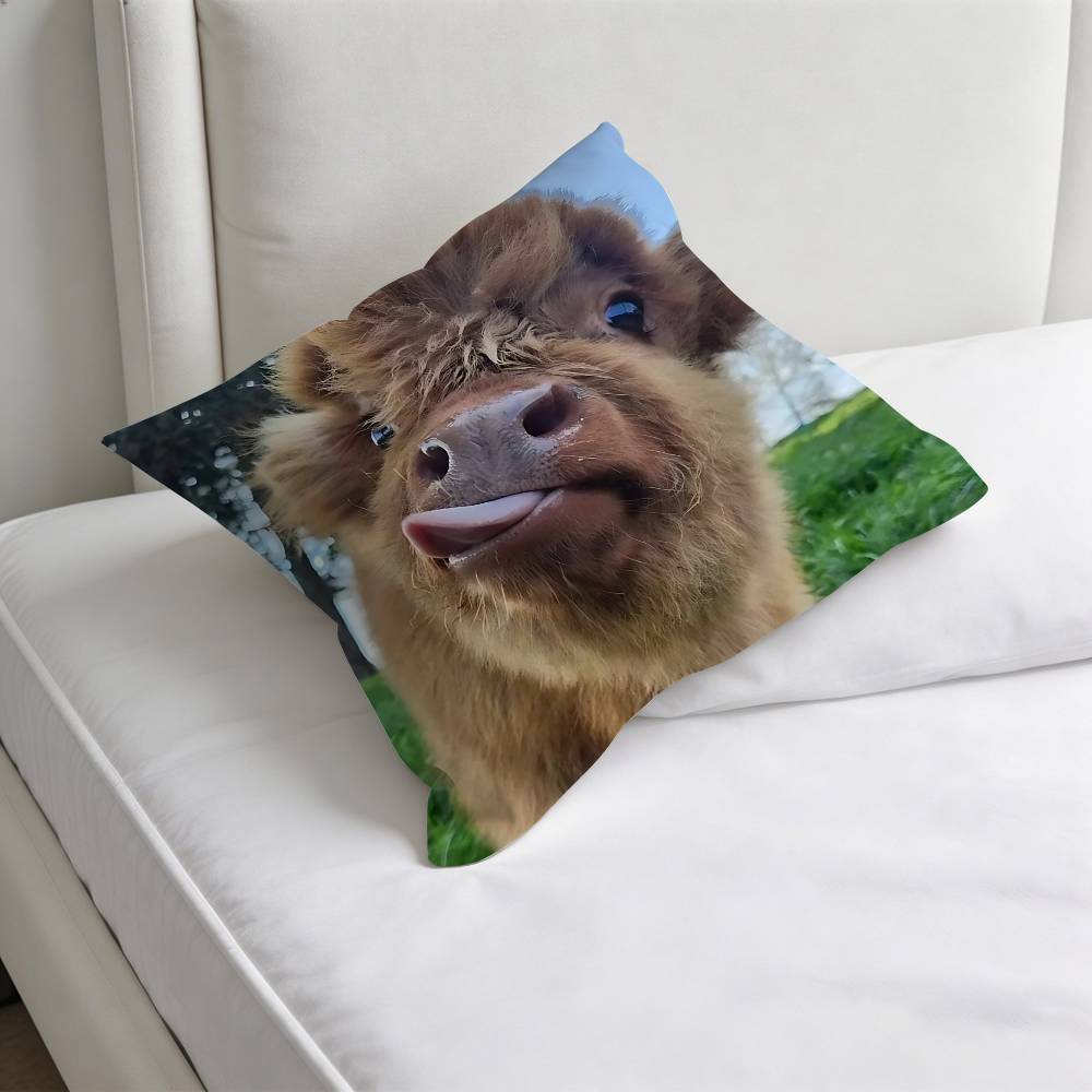 

Cute HHighland Cow Decorative Square Pillow Cover Modern Cushion Case for Living Room Bedroom 30x30 cm