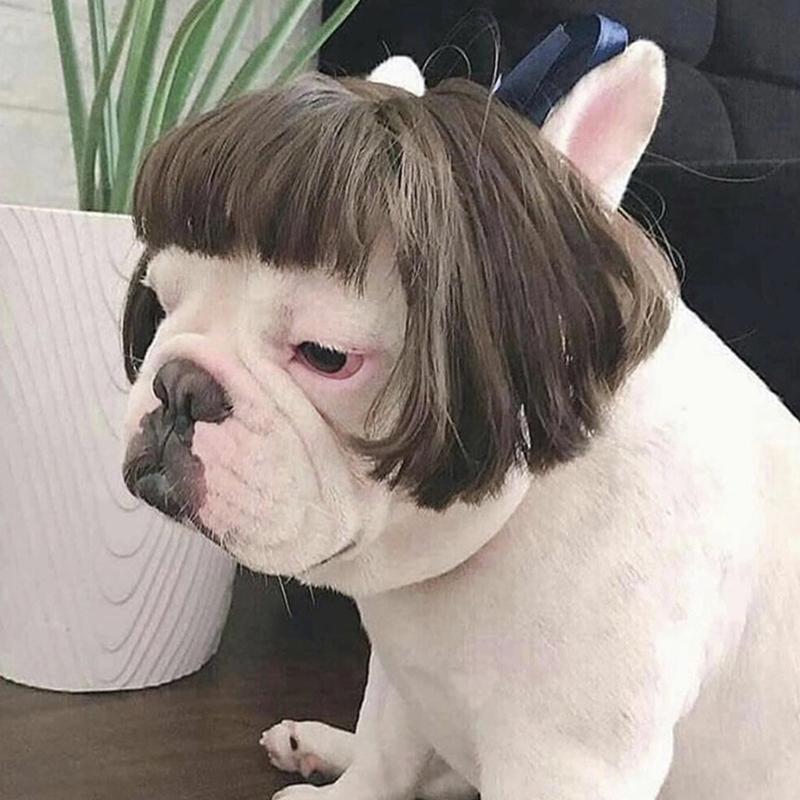 Regulable Dog Cats Wigs Soft Permeable Materials Easyly To Clean Perfect For Costume Parties Make Up
