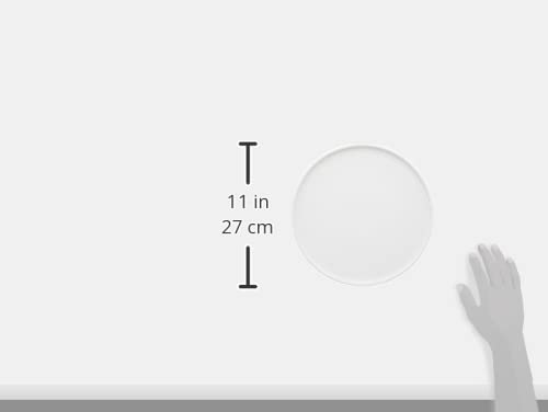 TOKI1919 Flat 260 Cafe Plate, Pasta Plate, Dinner Plate, Approx. 26cm Diameter, French Style, Tableware, Hotel Restaurant Specifications, Microwave an