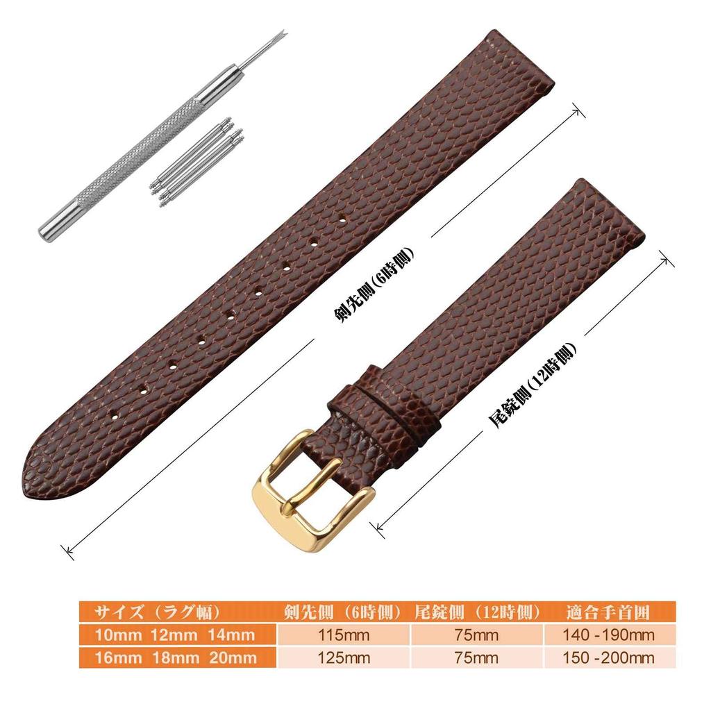 ANNEFIT Echtes Leder Uhrenarmband, 13mm, Eidechsenprägung, Ersatzarmband mit Werkzeug, BraunGoldene Schließe