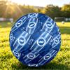 Brighton & Hove Albion FootballPrinted Size 5 Soccer Blbion Football, Anti Slip Adult Match Football Souvenir for Football Fans