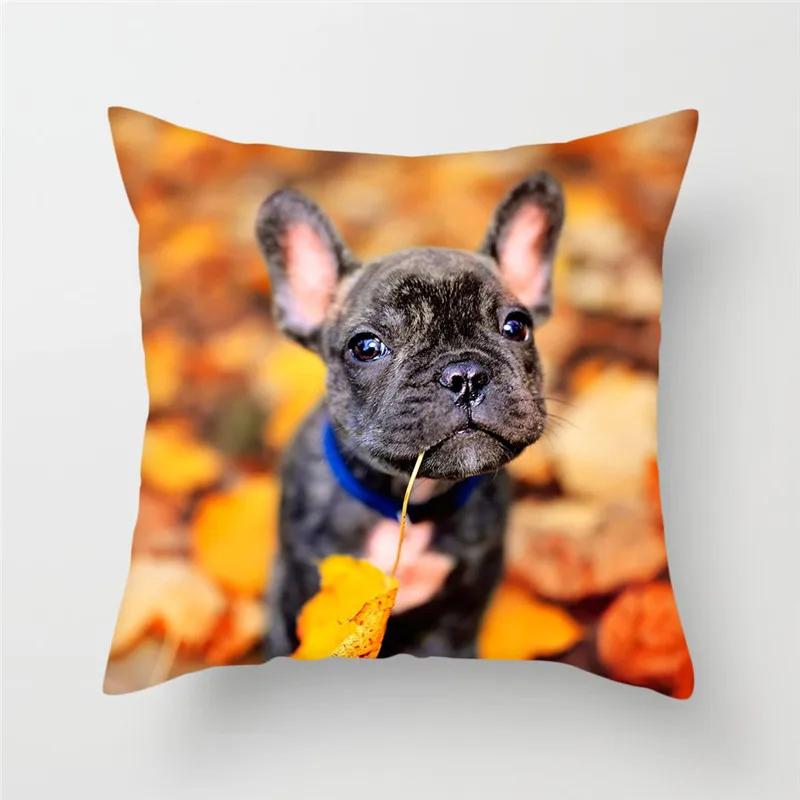 French Bulldog Polyester Cushion Cover Animal Dog Printed Pillow Cover For Sofa Home Living Room Decorative Pillowcase 45X45Cm