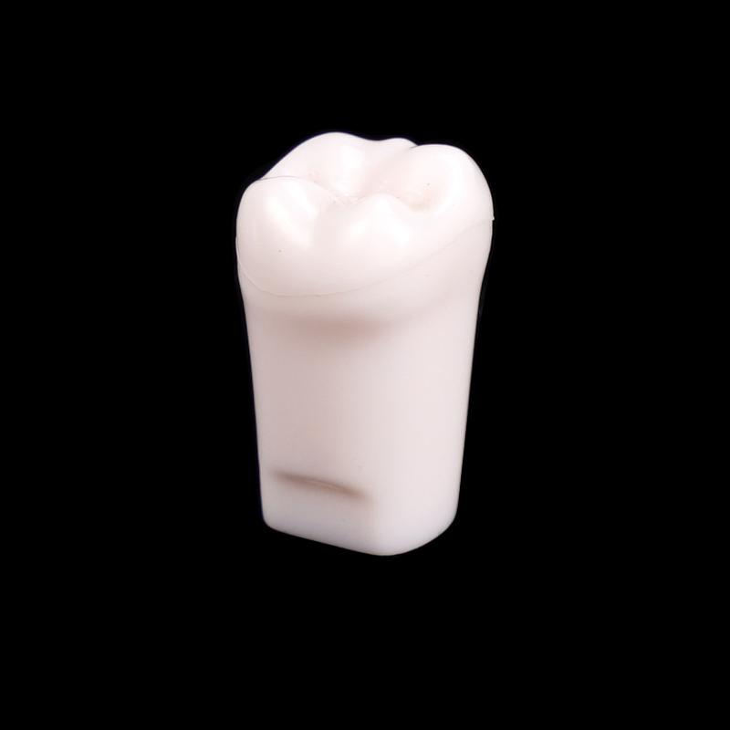 10Pcs Dental Typodont Teeth Model Removable Individual Screw-In Resin Denture Practice Tooth For Dental Studying Training