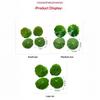 Soft Betta Fish Rest Lotus Leaf Fish Friendly Smooth Surface Stable Suction Cup For Betta Resting Spawning In Aquarium Tanks