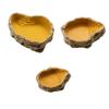 Water Basin Turtle Habitat Box Durable Tortoise Breeding Tank Easy To Use Playing Breeding Box Frog Guppy Amphibians Accessories