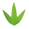 Daikoku Kogyo Bamboo Color 1000 X Made In 781300 Balan, Three-Leaf Leaves, Large, C, Sheets, Approx. 11.5 11.5 Cm, Japan, Green,