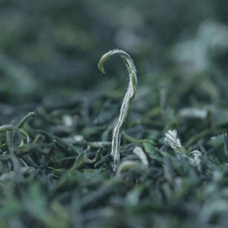 Tu Wang Fei Hefeng Baked Green Tea