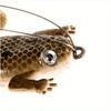 10pcs Rubber Frog Soft Fishing Lures CrankBait Tackle 6cm Frogs Fishing Lures Baits