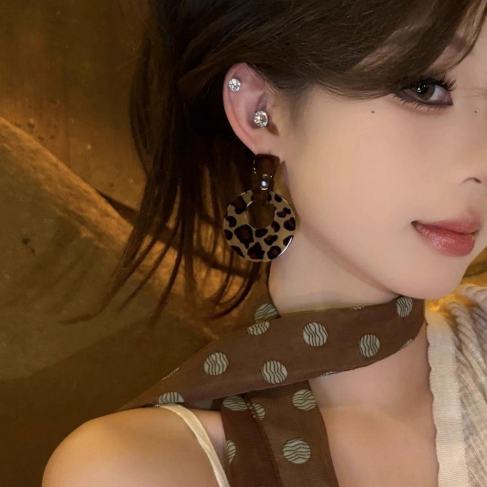 Geometric Leopard Print Round Earrings For Women Trendy Temperament Personalized High-end Retro Fashion Jewelry Gift