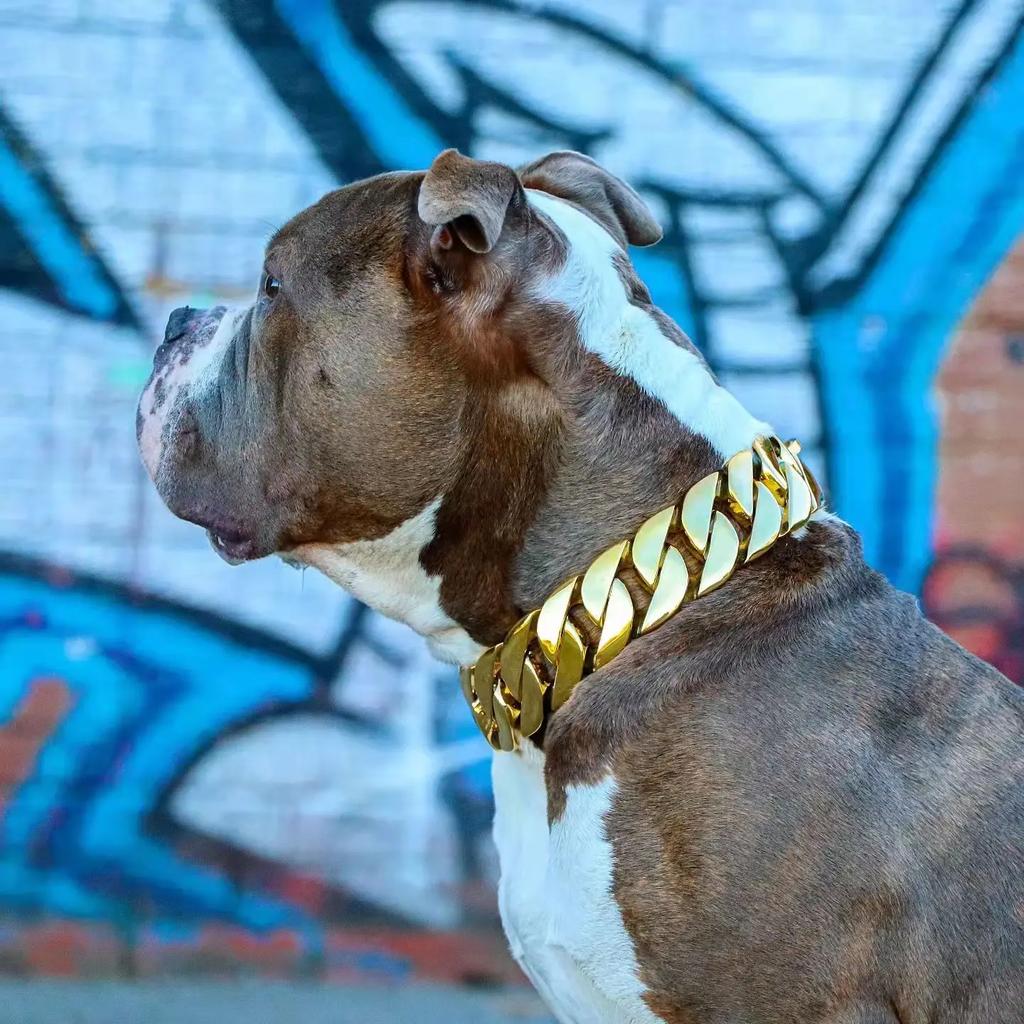Chunky Heavy Duty Big Stainless Steel Dog Collar, Gold Cuban Link, Dog Collar, 32mm, Pet Accessories