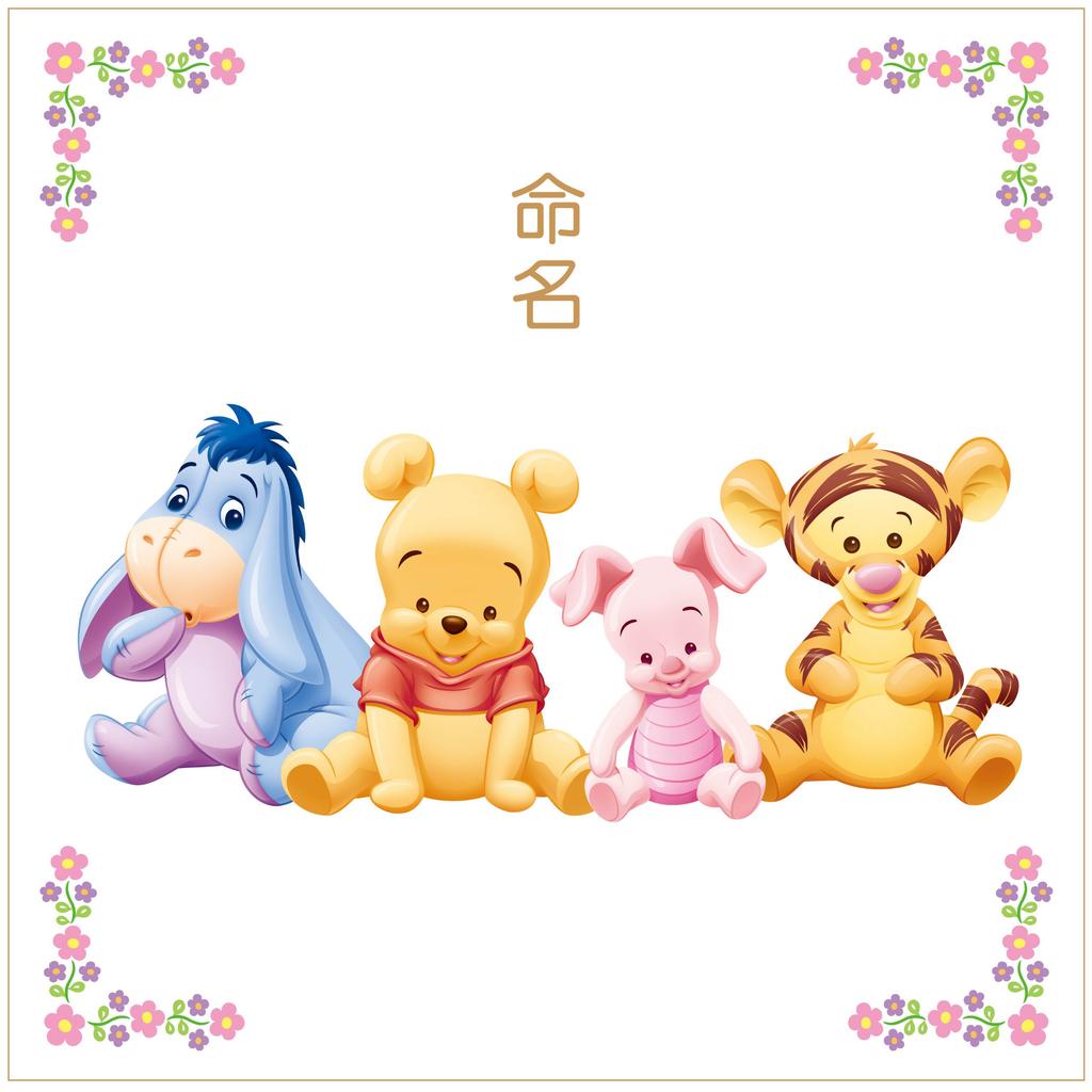Tenyo Omoide Club Baby Poo Naming Baby 1 piece Album, Poo, (x 1) MA-03