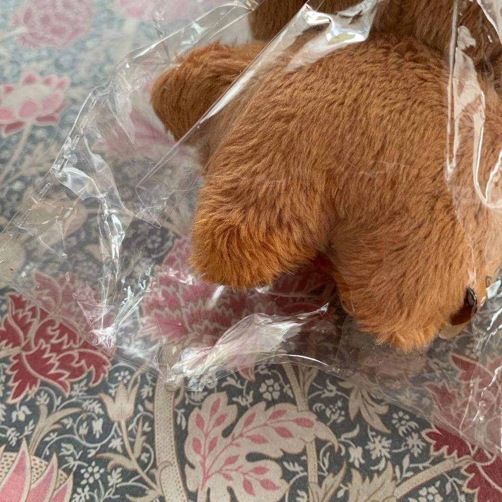 Used nct 127 dream Haechan 10cm stuffed toy Icomdo