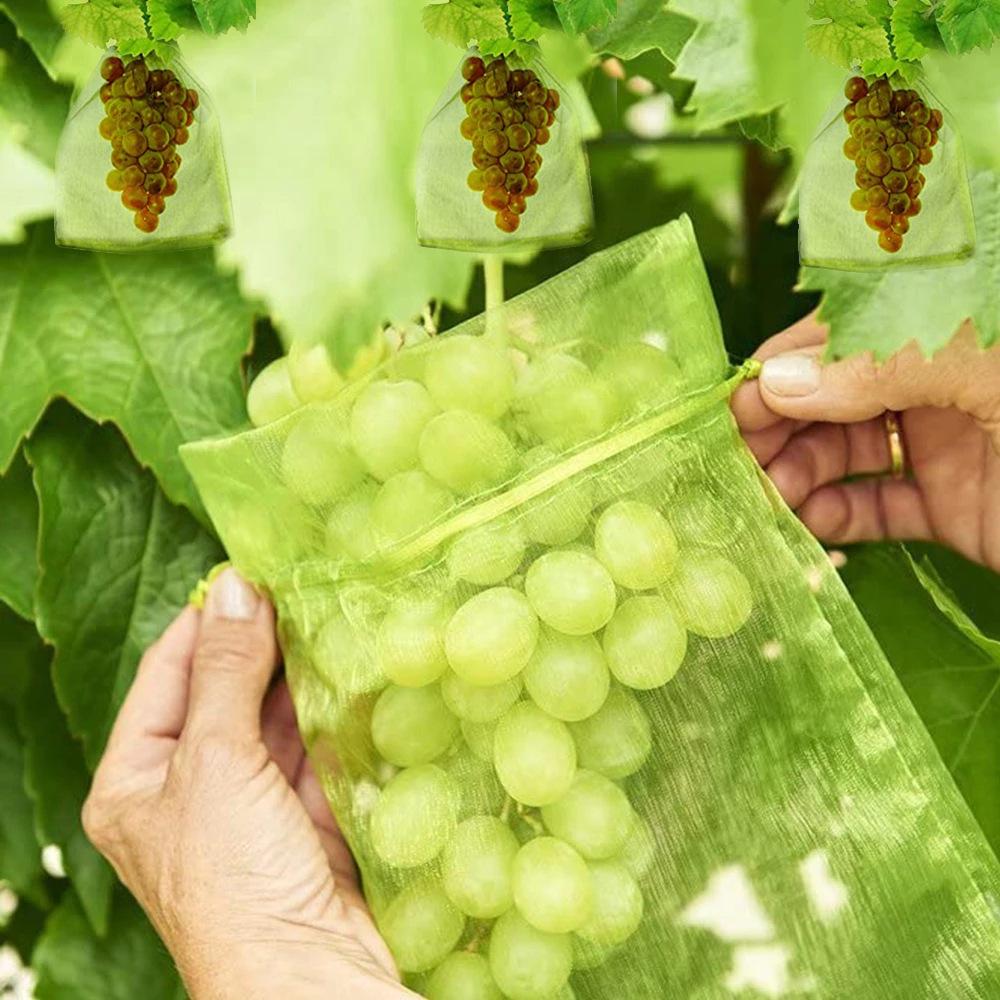Mesh Fruit Protection Bag - Insect-Proof Cover for Grapes and Vegetables, Reusable Gift and Candy Bag
