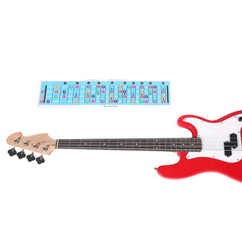 Bass Griffbrett Notentabelle Illustriertes Poster Bassgitarre Griffbrett Notentabelle Gitarre spielen lernen Bass Musiktheorie