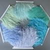 Ostrich Feathers Trim 13-18Cm 5-7Inch Feather Plumes Ribbon Selvage For Diy Wedding Dress Decoration Crafts Accessories