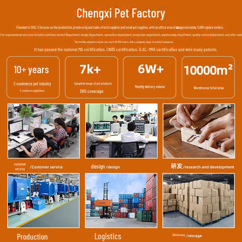 Semi-Aquatic Turtle Bathing Basin and Climbing Habitat Decor