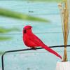 1/2PCS Foam Wedding Supply Home Decor Artificial Animal  Bird Model Simulation Parrot Real Feathers