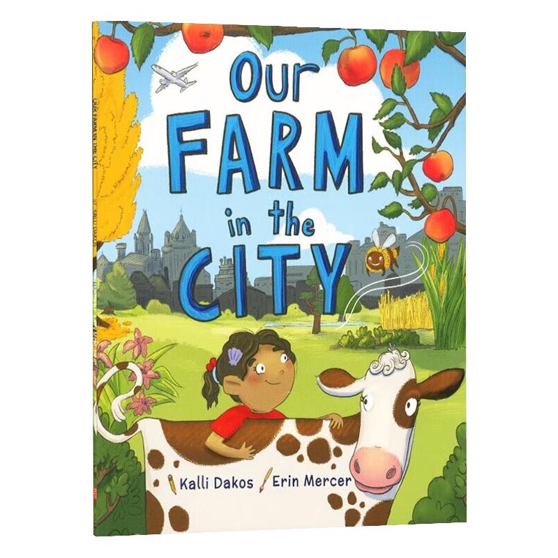 DC Fun Picture Book Series for 6-12 Year Olds