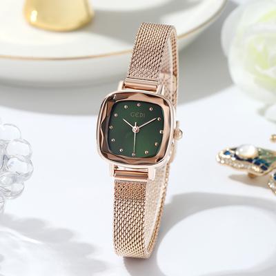 Elegant Square Design Mesh Chain Women's Watch Simple Temperament Women's Watch Retro Light Luxury Small Square Watch