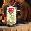 Eternal Rose LED Light Artificial Rose Flowers Preserved Rose in Glass Cover Light Up Rose in Glass Dome for Wedding Anniversary