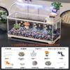 Traditional Style Fish Tank Mini Desktop Aquarium for Living Room Self-Cleaning Eco Landscape Goldfish Bowl Modern Home Decor